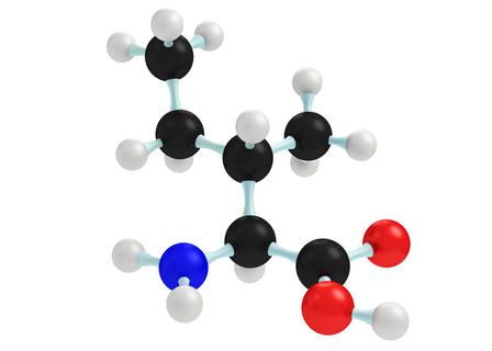 Aminosäure Isoleucin