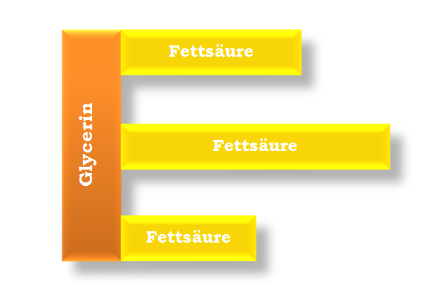 Schematischer Aufbau eines Triglycerids